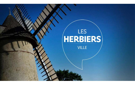 Les Herbiers
